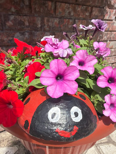 This is a close-up, high-angle shot of a terracotta pot filled with vibrant pink and red petunias. A decorative ladybug, painted in red and black with white eyes, is partially visible on the right side of the pot. The ladybug's face is the most prominent feature, with its black head and red cheeks. Green foliage from the petunias creates a lush backdrop for the flowers and the ladybug.

The background consists of a brick wall, suggesting an outdoor setting, possibly a garden or patio. The lighting indicates it is daytime, with sunlight casting shadows on the flowers and the wall, suggesting it might be a sunny day. There is no visible text in the image. The overall scene evokes a cheerful and summery atmosphere, with the bright colors of the flowers and the playful ladybug decoration adding a touch of whimsy. The location context is Velyki Osniaky, Ukraine.