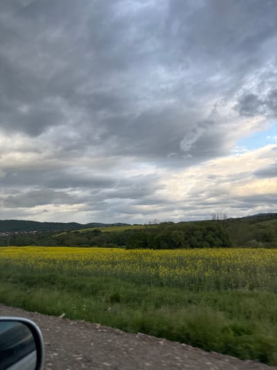 The image shows a landscape with a dramatic sky filled with grey and white clouds. The right side of the image depicts a field of yellow flowers alongside a road with a car's side mirror visible in the lower right corner. A line of trees and possibly buildings can be seen further off, along the horizon. The location may be Baylovo, Bulgaria. There are no people visible in the image. The image appears to be taken from inside a moving vehicle.