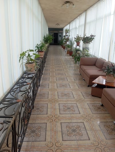 This image depicts a well-lit, indoor corridor with a long hallway stretching into the distance. The floor is tiled with a geometric pattern of beige, brown, and cream squares, each containing a floral or starburst motif. Vertical white blinds cover large windows on the right side of the hallway, allowing diffused light to enter.

Along the left side of the corridor, a decorative black metal railing runs the length of the hall, with a radiator visible underneath. On top of the railing, a series of potted plants are arranged, creating a verdant border. These plants vary in size and type, with some featuring broad green leaves and others more delicate foliage.

The right side of the hallway features a comfortable seating area with a large, L-shaped brown sofa positioned against the wall of blinds. In front of the sofa, a small wooden table with storage compartments sits. Another smaller brown ottoman or seat is also visible.

Further down the hallway, more potted plants are displayed, some on stands, adding to the biophilic design of the space. The ceiling is a light neutral color and has decorative light fixtures with multiple bulbs. At the far end of the corridor, a doorway is visible, suggesting an entrance or exit. The overall impression is one of a clean, welcoming, and well-maintained interior space, likely a common area or lounge within a building. The presence of plants and comfortable seating suggests a space intended for relaxation or waiting. This scene could potentially be within a hotel, sanatorium, or public building in Truskavets, Ukraine, given the location.