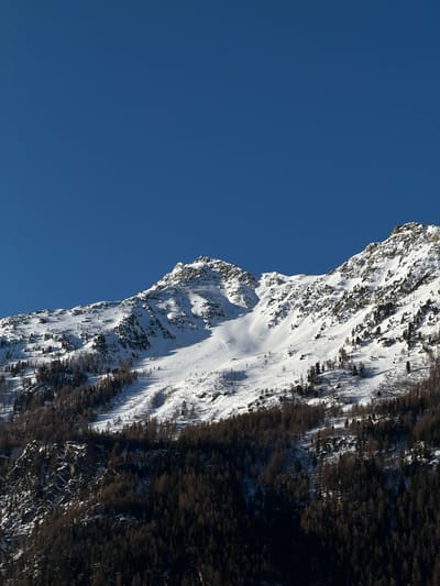 The image shows a steep, snow-covered mountainside against a clear blue sky. Patches of trees grow on the slopes, some areas densely forested and others more sparse. The mountainside is heavily shadowed with some areas completely in the dark. The image orientation suggests it was taken with the camera rotated.
Without further context, it's not possible to confirm if this is specifically located in the city of Saint-André, France. However, it depicts a mountainous landscape, which is consistent with the alpine region where Saint-André is located.
