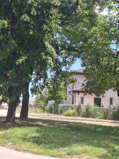 The image depicts a suburban street scene on a sunny day, likely in Aksakovo, Bulgaria. In the foreground, a patch of green grass with scattered wildflowers runs alongside a paved pathway. Two large trees with dense green foliage dominate the left side of the frame, casting shadows on the grass. Behind the trees, a light-colored, two-story house is visible. The house has a dark-tiled roof, dark-framed windows, and a dark-colored front door. A decorative concrete fence with metal inserts separates the property from the street. Several small evergreen shrubs and a yellow-leafed plant are planted along the fence line. In the distance, beyond the fence and the house, other buildings and trees are present. A red car is parked on the side of the road further down the street. The sky is clear and blue.