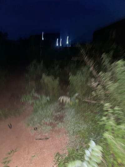 The image depicts an outdoor scene at night in what is stated to be Safari, Nigeria. The lighting suggests artificial light sources from a distance, possibly buildings or streetlights, creating blurred streaks of light in the dark sky. The foreground is dominated by vegetation, including tall grasses and shrubs, which appear blurred due to motion or low light conditions. A dirt path or ground is visible in the lower portion of the image. There are indistinct shapes within the vegetation that could potentially be objects or animals, but they are not clearly identifiable due to the image quality. The overall impression is one of a dimly lit, natural or semi-natural environment at night.
