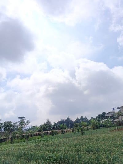This vertical outdoor photograph depicts an agricultural landscape located in Maw Hit, Myanmar, under a partly cloudy sky. The upper two-thirds of the image are occupied by a light blue sky with numerous white and grey cumulus clouds; a bright, possibly sunlit, spot is visible in the upper center. The foreground and lower midground consist of a large, green cultivated field, presenting distinct rows of uniform, low-growing plants, consistent with crops such as onions or leeks. This field gently slopes upwards from the lower left to the right. Behind this primary field, a series of light-colored wooden trellises or support structures extend horizontally across the midground, indicating further agricultural development. Scattered smaller trees are visible near these structures. A line of dense green trees, some appearing coniferous, forms a natural boundary in the background. On the far right, partially obscured by trees, a structure with a light-colored roof and walls is visible, topped by a distinct blue elevated water tank. No individuals are present within the frame.