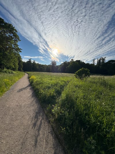 This is a landscape photograph taken in Keila-Joa alevik, Estonia, featuring a gravel pathway curving through a grassy field under a bright sky. The pathway occupies the left foreground, leading into the middle ground where it disappears behind tall green grass and wildflowers. The field itself is lush with vegetation, dotted with scattered trees in the background. The sky is a vibrant blue, characterized by dramatic streaks of white clouds illuminated by the sun, which creates a sunburst effect with rainbow-like refractions. The overall scene depicts a tranquil natural environment on a sunny day.