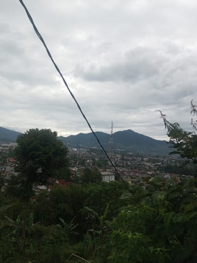 The image presents an elevated, panoramic view of Bhupalpally, India, under an overcast sky. A dark, thick utility cable runs diagonally from the upper-left corner towards the mid-right. The immediate foreground is dominated by dense green vegetation, including various trees and leafy plants. Below this foliage, the midground showcases a densely built urban area with numerous structures, predominantly low-rise, featuring roofs of various colors. A tall, red and white striped communication tower stands prominently within the urban landscape towards the center-right. Further in the background, verdant hills and mountains rise, forming a natural boundary for the city. No individuals are visible, nor are any specific actions or interactions discernible.