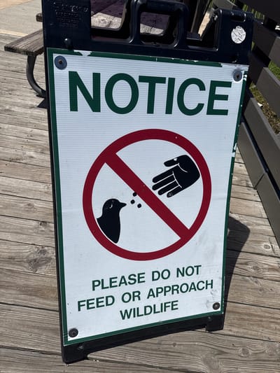 The image shows a sign that reads "NOTICE. PLEASE DO NOT FEED OR APPROACH WILDLIFE." The sign features a symbol of a hand and a silhouette of an animal (possibly a bird) inside a red circle with a diagonal line through it, indicating a prohibition. The sign is mounted in a black frame and is resting on a wooden surface, which appears to be a deck or boardwalk.
The location is Fort Lauderdale, United States.