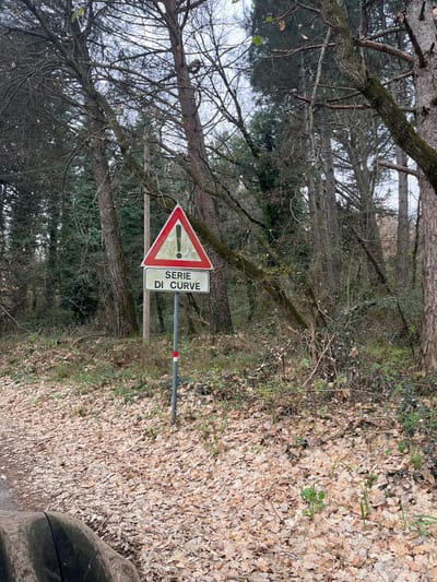 The image depicts an outdoor roadside scene in Seggiano, Italy. A two-part road sign is centrally positioned, mounted on a grey metallic pole. The upper sign is a triangular warning sign with a red border, white interior, and a black exclamation mark. Below it, a rectangular sign displays the Italian text 'SERIE DI CURVE' (Series of Curves) in black on a white background. The pole features a small red and a small white rectangular marker near its base. The ground area surrounding the sign is heavily covered with dry, light brown fallen leaves, interspersed with minimal green undergrowth. A dense forest of tall trees, many with bare branches, forms the background under an overcast sky. The lower-left foreground shows a partial view of a dark-colored vehicle's fender or tire, suggesting the photograph was taken from an adjacent roadway. No individuals are visible in the scene.