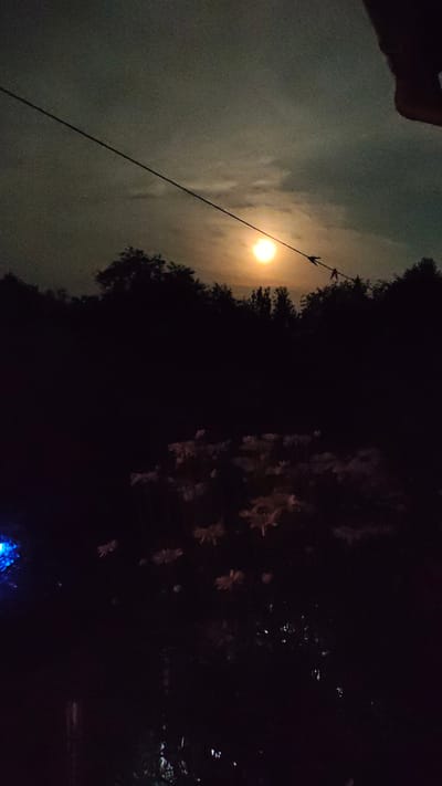 The image depicts a nighttime scene in Zhytomyr, Ukraine. The central subject is the moon, partially obscured by clouds, casting a warm, yellowish glow across the sky. A dark silhouette of trees frames the right side of the image, with some indistinct lighter shapes that might be flowers or foliage visible within the darkness. A thin, dark line, likely a wire or cable, stretches diagonally from the lower left to the upper right of the frame, passing in front of the moon. There are a few small, dark objects on this line, possibly clothespins. The upper left corner of the image shows a blurred, dark shape that appears to be a person's hand or arm, possibly holding the camera. The overall mood is mysterious and serene, with the muted moonlight creating a soft, ethereal atmosphere. The presence of the wire and the hand suggests a domestic or outdoor setting, perhaps a backyard or a park. The time of day is clearly night, indicated by the bright moon and the dark surroundings. The weather appears to be partly cloudy, as evidenced by the way the clouds diffuse the moonlight. No visible text is present in the image.