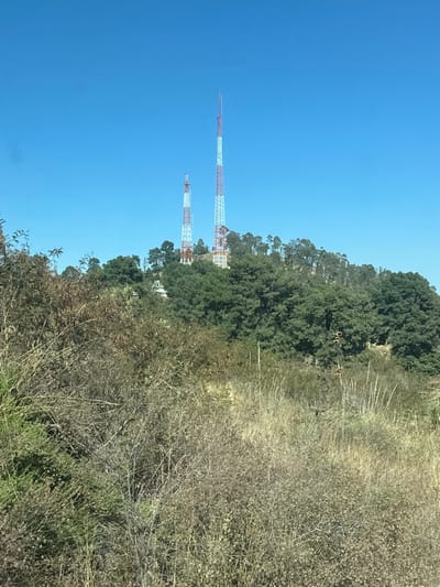 The landscape includes two red and white radio towers against a clear blue sky. They stand behind a dense green forest extending from the middle of the image upwards. The foreground shows a field of dry, beige-colored shrubs and vegetation. The photograph is taken on a sunny day, casting shadows within the forest and adding contrast to the dry vegetation.