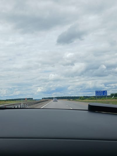 This is a photograph taken from inside a vehicle on a highway, looking forward. The sky is heavily overcast with large, grey clouds. A white car is visible in the distance on the right lane of the highway. To the right of the highway, there is a blue sign with white text indicating distances to cities: "EFREMOV 54", "KASHIRA 251", and "MOSCOW 368". The highway is bordered by a metal guardrail on the left, with red and white striped markers along it. Beyond the guardrail, there is a grassy field and a line of trees in the far distance. The foreground of the image is dominated by the dark dashboard of the vehicle. The location is identified as Tregubovo, Russia.