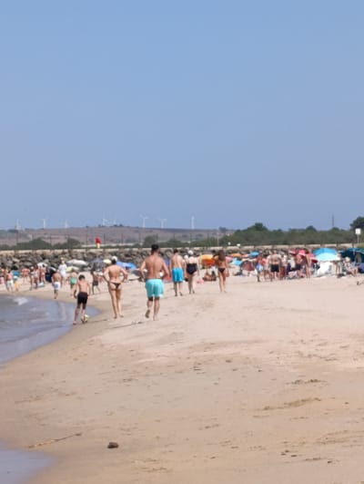 This image shows a crowded beach scene in Sines, Portugal. The beach is sandy, with the ocean visible on the left side. Numerous people are present, many of whom are wearing swimwear and appear to be enjoying a sunny day. Some individuals are walking or running along the shore, while others are gathered closer to umbrellas and beach chairs. A young boy is kicking a soccer ball. In the background, there are some wind turbines visible on a hill, along with a rocky breakwater. The sky is clear and blue, suggesting fair weather conditions.