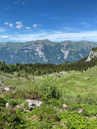 This image captures a panoramic view of a mountainous landscape under a bright blue sky with scattered white clouds. The foreground is dominated by green grassy slopes dotted with rocks and small bushes. In the mid-ground, a dense evergreen forest stretches across the terrain, with a small red-roofed building and a pond visible within the clearing. Further in the background, a majestic range of mountains with rugged, rocky peaks and green lower slopes rises towards the sky. The overall scene depicts a serene, natural environment, likely a hiking or scenic viewpoint in the alpine region. Given the general characteristics, this could potentially be an area near the Rothorn or Brienzer Rothorn, which offers such expansive mountain vistas and alpine meadows and is accessible from Brienz, Switzerland. There are no people visible in the image.