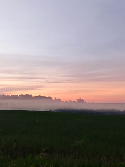 The image captures a serene rural landscape at dawn or dusk, with the sky transitioning through soft pastel hues of purple, pink, and orange. A gentle mist hovers above a treeline that forms a distant horizon. In the foreground, a lush green field stretches out, suggesting an agricultural or natural setting. The scene is devoid of any human presence, animals, or man-made structures, emphasizing a quiet and untouched environment. The overall impression is one of tranquility and natural beauty. The location is identified as Batiushkovo, Russia.