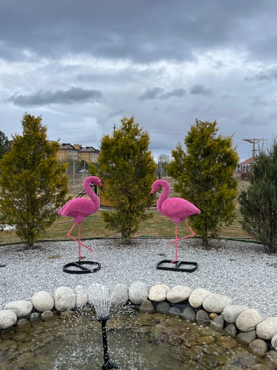 The scene depicts an outdoor area with two pink flamingo statues positioned near small, evergreen trees. The ground is covered in white gravel, bordered by larger, smooth stones lining a water feature or pond. A black, circular object, possibly a base or support, sits near one of the flamingos. Water is actively spraying from a black nozzle or fountain within the pond. The background shows a cloudy sky and glimpses of buildings, suggesting an urban or suburban setting. The context of Bezborodovo, Russia, implies this is a garden or decorative area within the city.