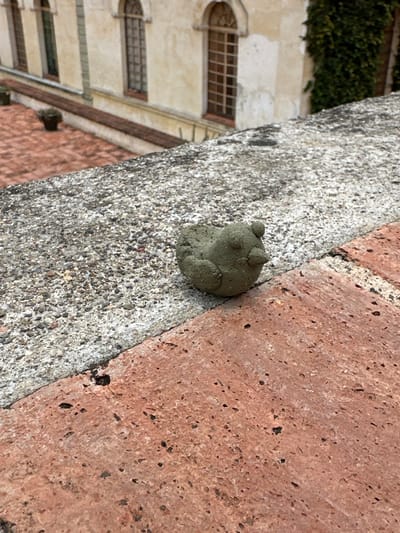 An unbaked clay sculpture, resembling a frog with four bumps for legs and two bumps for eyes, sits on a textured concrete ledge. The ledge is bordered by red brick paving stones. In the background, a building with arched windows and ivy-covered walls is visible. The scene appears to be outdoors, possibly in a courtyard or patio. The location is specified as San Agustín Etla, Mexico.