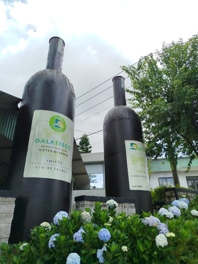 This media file shows two oversized wine bottles, likely sculptures, situated outdoors in front of a building. The bottles are dark and appear to be made of metal. The one on the left has a label that reads "DALATBECO Appellation d'Origine Controllée CÔTES DU RHÔNE SHIRAZ VIN DE FRANCE". The bottle on the right also has a label, partially visible, with text including "WINE OF CABERNET SAUVIGNON 13,5%Vol".
In the foreground, a lush bed of hydrangeas in various shades of blue and white blooms, adding a vibrant contrast to the dark bottles. Behind the sculptures, there's a glimpse of a building with windows and trees, one of which is a prominent, leafy green tree on the right side of the frame. The sky is overcast with clouds.
The scene appears to be a tourist attraction or a winery, given the wine bottle theme and the location context provided as Xuan Truong - Da Lat, Vietnam. The time of day is difficult to ascertain precisely due to the cloud cover, but it seems to be daytime. The overall mood is peaceful and scenic, highlighting the unique sculptures and the natural beauty of the hydrangeas.