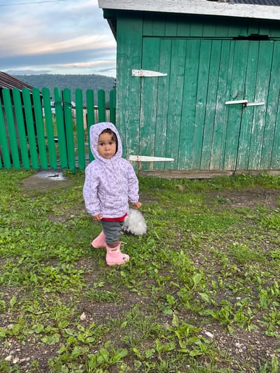 A young child, possibly a toddler, stands on grass and dirt next to a green wooden structure. The child is wearing a light purple hooded jacket with a floral pattern, dark gray pants, and bright pink rain boots adorned with rainbow unicorn designs. A tuft of grey fur is visible behind the child's back, suggesting the presence of a pet. The child has dark curly hair and dark eyes and is looking towards the camera with a neutral expression.
The background features a weathered green wooden wall, possibly part of a shed or building. A green metal fence runs along the left side of the image, with a glimpse of a wooded hillside and a cloudy sky beyond. The ground is a mix of grass, mud, and small stones. The scene appears to be outdoors in a rural or semi-rural setting. The lighting suggests it might be overcast or late afternoon.
The image is oriented vertically, with the child and the green wooden structure occupying the central and left portions of the frame respectively. The overall mood is candid and suggests a casual moment outdoors. There is no visible text in the image.