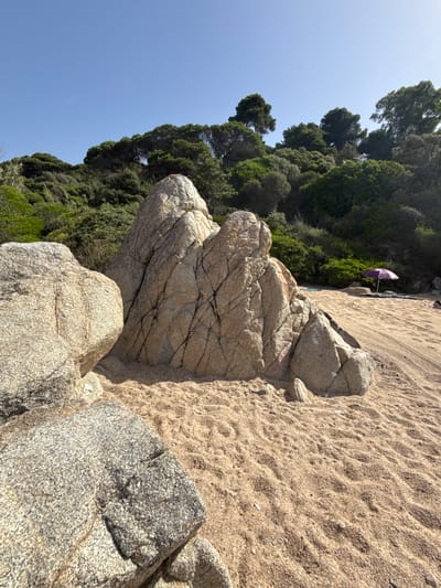 The image depicts a sandy beach with large rocks in the foreground and a dense green forest in the background. The sky is clear and blue. In the mid-ground, a purple beach umbrella is set up on the sand. The location is likely a beach in Lloret de Mar, Spain, characterized by its rocky coves and lush Mediterranean vegetation. The scene is peaceful and appears to be during daytime.