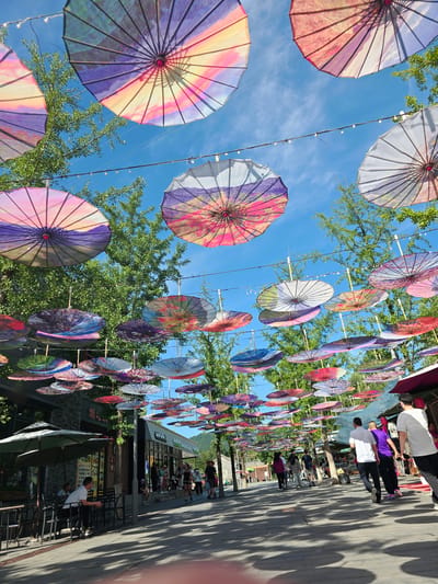 The image captures a pedestrian street in Huairou District, China, adorned with numerous colorful paper umbrellas suspended overhead, creating a vibrant canopy. The umbrellas display a variety of intricate patterns and gradients of pink, purple, orange, and blue, reflecting the bright, clear blue sky. Lush green trees frame the scene on either side, their branches interspersed with the hanging umbrellas and decorative string lights.
Along the right side of the street, businesses with storefronts and awnings are visible, suggesting a commercial area. Several people are walking down the street, some individually and some in small groups. On the left side of the street, an outdoor seating area with tables and chairs is set up outside a restaurant, with a few patrons seated. The ground is paved with stone tiles, and shadows from the umbrellas and trees are cast across the walkway, indicating a sunny day. The overall atmosphere is one of a lively, festive outdoor market or tourist area.