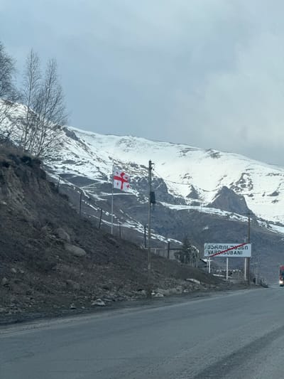 This image presents a roadside scene in a mountainous region of Georgia, consistent with the area of Sioni. A grey, paved two-lane road occupies the lower-center of the frame, gently curving to the right and receding into the distance. To the left of the road, a steep, dark brown embankment rises, covered in sparse, dry vegetation, loose rocks, and several bare deciduous trees near its upper edge. A multi-strand wire fence runs horizontally along the mid-section of this embankment. Prominently positioned on the embankment, a Georgian national flag, white with five red crosses, is flown on a flagpole. Adjacent to the road on the left, a dark utility pole supports a black, rectangular apparatus. Further along the right side of the road, a white rectangular sign displays Georgian script above the Latinized 'VARDISUBANI,' which is struck through with a red line, signifying the end of the locality. The background consists of large, snow-covered mountains exhibiting patches of exposed rock, all under an overcast, light grey sky. The front-right corner of a red semi-truck is partially visible on the far right edge of the image. No individuals are visible.