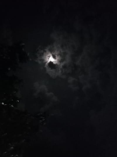 The image depicts a night scene in Sukomoro, Indonesia. The prominent feature is a bright moon partially obscured by clouds. The clouds are dark and textured, filling much of the sky. In the lower left corner, dark foliage from a tree or bush is visible. The overall environment is dark. There are no people visible in the image.