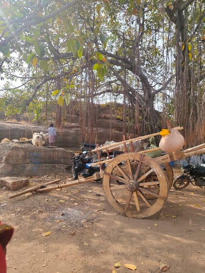 The scene depicts a rural setting in Vamasamudram, India, featuring a wooden bullock cart with two large wheels and a suspended sack, positioned on a dirt ground covered with fallen leaves. A man in a light-colored shirt and pinkish sarong stands near two white oxen on top of a rocky outcrop, partially enclosed by a makeshift fence. In the background, a large banyan tree with extensive aerial roots dominates the view. Two motorcycles are parked near the cart, adding a modern element to the traditional scene. Traces of smoke on the ground suggest a recent fire.