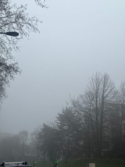 The image captures an outdoor urban landscape dominated by dense fog in Fontenay-sous-Bois, France. The sky is a uniform, heavily diffused light gray, significantly reducing visibility. In the upper left quadrant, a dark, horizontally oriented streetlamp is visible, partially obscured by the bare, intricate branches of a deciduous tree. The midground consists of a sloping, grassy terrain where numerous leafless deciduous trees and several coniferous trees stand, their details softened and outlines blurred by the pervasive fog. In the lower left, the roof and distinct roof rails of a dark-colored vehicle are partially visible. Two prominent electric vehicle charging stations, characterized by their bright green illumination, are positioned upright on the grassy verge in the lower central-left. A rectangular, light-colored electrical utility box is located in the lower right foreground. Faint, indistinct architectural structures are discernible through the fog in the distant background, particularly towards the left side of the frame. No individuals are visible.