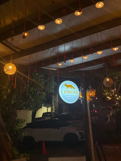 The image presents a nighttime view of the exterior of "Coyote Botanero," a business located in Santiago, Nuevo León, Mexico. A prominent circular, backlit sign featuring an orange fox silhouette and the words "COYOTE BOTANERO" in orange text on a white background illuminates the central part of the frame. Overhead, numerous small, exposed-bulb lights with metal shades are suspended from a dark beam structure, interspersed with red decorative ribbons from which small red ornaments hang. Two larger, spherical light fixtures made of woven material emit a warm glow; one is on the far left, and another, partially visible, is on the right. An ornate metal lantern with amber-colored glass is also visible on the right. The foreground and background feature lush green trees and foliage, some adorned with string lights on the right. A white SUV, equipped with a dark object resembling a roof rack, is parked below the sign, with an orange traffic cone positioned directly in front of it. A dark pickup truck is partially visible behind the white SUV. No individuals are present in the scene.