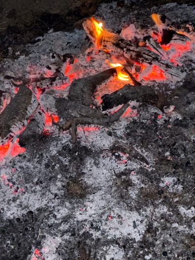 This is a close-up, top-down photograph of the glowing embers and ashes of a fire. The scene is dominated by various shades of gray, black, and white, interspersed with vibrant orange and red from the hot coals. Logs, partially burned and covered in ash, are visible, suggesting the fire is still active or has recently burned out. Strands of dry grass and twigs are mixed within the ash, indicating the fire likely consumed natural materials.
The lighting suggests it could be nighttime or a dimly lit area, as the embers provide the primary light source, casting a warm glow. There are no people or specific objects identifiable beyond the elements of the fire itself. The texture of the ash is varied, appearing powdery in some areas and clumpy in others, with some larger pieces of charcoal scattered throughout. Small, bright red pinpoints of light indicate the hottest parts of the embers. The overall impression is one of heat, decay, and residual energy. No text is visible in the image. The context provided places this scene in Golyam Chardak, Bulgaria.