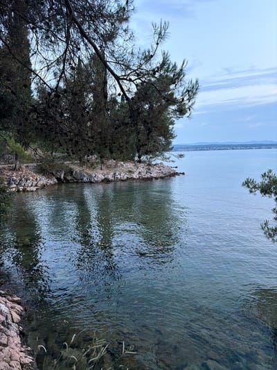 This is a vertical, outdoor, eye-level shot of a rocky shoreline on a body of water. In the foreground, on the left, is a dense cluster of pine trees with dark needles and numerous pinecones. The branches reach out towards the water. The rocks are rough and grey, with some lighter-colored patches.
The water itself is a deep blue-green, with ripples on the surface reflecting the sky and the surrounding trees. The water is clear enough in places to see the rocky bottom beneath. On a prominent rock formation jutting out into the water, there are two small, dark figures, possibly birds or small statues, standing upright.
In the distance, across the water, is a long, low-lying coastline with a hazy, mountainous silhouette. The sky above is a pale blue with thin, wispy white clouds. The overall impression is one of a calm, natural setting, possibly during the day given the brightness. The location appears to be a coastal area, with the rocky shore and the presence of pine trees suggesting a Mediterranean or similar climate. There is no visible text in the image.