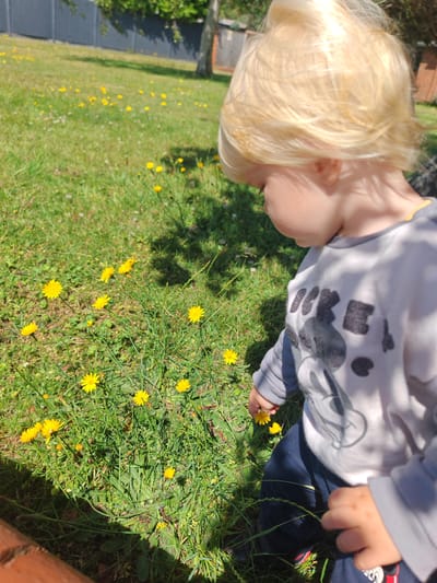 A young child with light blonde hair is captured from a slightly elevated, rear-side perspective, leaning down to interact with yellow flowers in a sunny grassy field. The child wears a long-sleeved, light grey top featuring a partially visible black and white design that includes parts of the word "MICKEY" and a cartoon character, paired with dark blue trousers. Their right hand is extended towards a cluster of yellow flowers, suggesting curiosity or an attempt to touch or pick one.

The setting is an outdoor green space, likely a garden or park, covered in lush grass liberally dotted with numerous small, bright yellow flowers, characteristic of dandelions or similar wild flora. The sunlight is strong, casting distinct shadows on the grass and under the child, indicating a clear and bright day. In the background, there's a dark fence, hints of trees, and blurred distant structures. The scene evokes a sense of childhood exploration and wonder in nature. The location context is Worthing, United Kingdom.