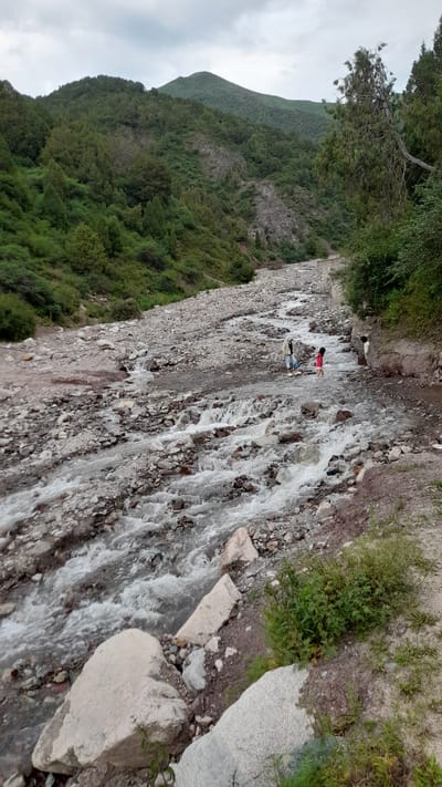 A wide shot captures a shallow, rocky river flowing through a mountainous landscape under an overcast sky. The riverbed is filled with numerous stones and pebbles, with water cascading over them in small rapids. Lush green trees and vegetation cover the steep slopes of the surrounding mountains. In the middle ground, two individuals are visible wading in the river. One, taller and wearing a light-colored jacket and dark pants, stands in the water. Beside them, a smaller figure in a bright pink outfit is also in the river, seemingly playing or walking. To the right, a dark-colored object, possibly another person or an animal, is partially obscured by the embankment. The scene appears to be a natural setting, likely in the vicinity of Kashka Suu, Kyrgyzstan, with the river carving its path through the rugged terrain.