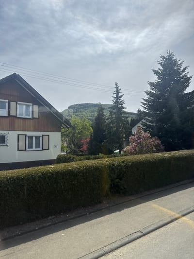 This media file captures a residential street scene in Balingen, Germany, during what appears to be a bright, overcast day. The image is oriented vertically (originally taken in portrait, or rotated 90 degrees).

The main subject is a multi-story house, likely two stories with an attic, featuring a prominent pitched roof. The house facade is partly light-colored (cream or white) and partly clad in dark brown wood. Several windows with white frames are visible; some have decorative brown grates or shutters, and a lower window features an intricate metal grate. A small house number "8" is discernible on the light-colored section of the facade.

To the immediate right of the house, a tall, well-maintained, dense green hedge extends along the property line, separating it from the street. Beyond the house and hedge, a diverse array of trees fills the mid-ground and background. Large, dark evergreen trees dominate the upper sections, while some deciduous trees with vibrant green leaves and splashes of pink or purple blossoms suggest either spring or early summer. A large, tree-covered mountain or hill rises in the distant background, appearing somewhat hazy under the cloudy sky.

The sky is largely overcast with soft, wispy clouds, allowing ample light to illuminate the scene despite the absence of direct sunlight. Thin power lines are visible stretching across the sky in the upper left quadrant. On the far right, a gray asphalt road or sidewalk runs parallel to the hedge, separated by a curb and a narrow strip of grass.

No human activity or individuals are present in the image, creating a serene and quiet atmosphere. The time of day is clearly daytime, characterized by diffuse light. The architectural style and natural landscape elements are consistent with the location context of Balingen, Germany.