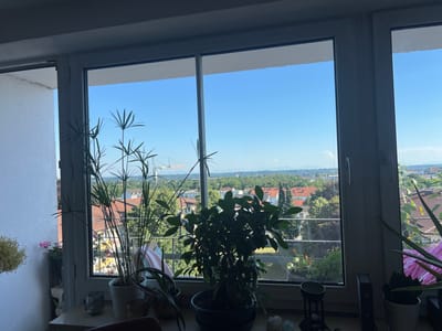 A wide shot shows a view through a window of a residential area, likely in Mühldorf a. Inn, Germany, on a clear day. The foreground is dominated by several potted plants on a windowsill. To the left, a tall, thin plant with umbrella-like leaves stands in a white pot. Next to it is a dark pot with pink flowers and a delicate, dried flower arrangement in a light-colored pot. In the center, a lush green plant with broad leaves sits in a dark pot. Other plants and decorative items, including a small glass object and a black electronic device, are also visible on the windowsill.

The window looks out onto a suburban landscape with red-tiled roofs, trees, and a balcony with more greenery and flowers. In the distance, a construction crane is visible, suggesting ongoing development. The sky is a vibrant blue with a few wispy clouds, indicating pleasant weather. The scene is illuminated by bright sunlight, casting shadows and highlighting the textures of the plants and the surrounding buildings. The overall impression is one of a peaceful domestic setting overlooking a lively, developing town.