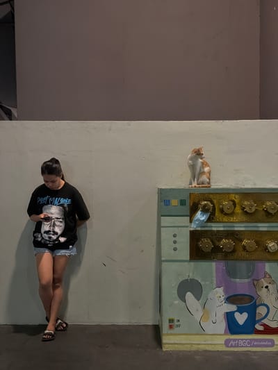 The image shows a woman sitting on the ground near an outdoor mural in Taguig, Philippines. The mural depicts a painted box labeled "FIRE DEPT. CONNECTION / DRY STANDPIPE" and "FIRE DEPT. CONNECTION / WET STANDPIPE" with gold-colored fittings. It includes drawings of cats, a coffee mug, and an "ON/OFF" switch, with the words "Art BGC / avindoodles" above it. A real orange and white cat sits on top of the painted box. The woman is wearing a black t-shirt with a Post Malone graphic and denim shorts. She is looking at her phone. She is wearing black sandals. The background consists of a concrete wall and a corner of the building.