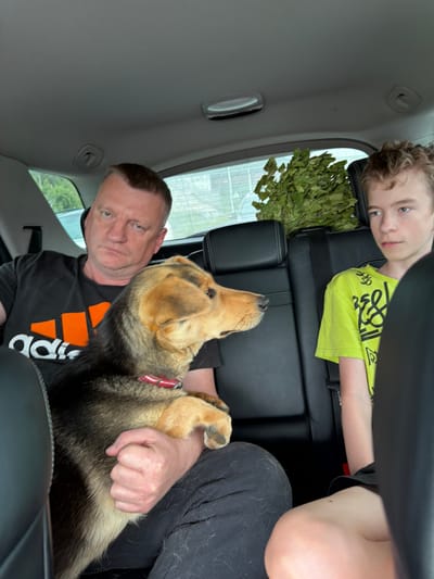 In the rear of a car, an adult male with short, grey hair and a serious expression is seated on the left, holding a medium-sized dog with brown and black fur. The dog is wearing a red collar and is facing right. To the right of the man and the dog, a young person with light brown, curly hair and wearing a bright yellow t-shirt is seated. Behind the young person, a bundle of green branches, possibly for a sauna, is visible. The interior of the car is dark, with black leather seats. The background outside the car windows appears to be a moderately vegetated area with some structures, consistent with an urban or semi-urban environment in Sulyo, Russia. The lighting suggests it is daytime.