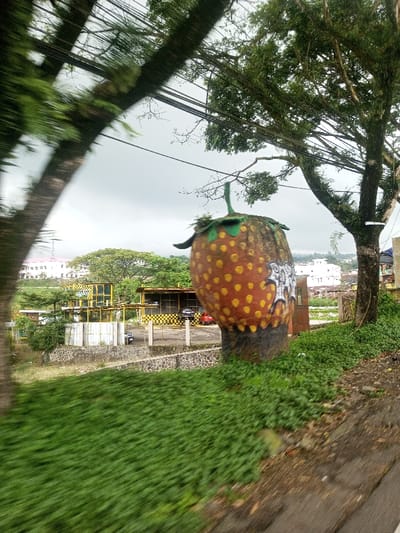 A large, artificial strawberry with yellow dots and graffiti stands on a concrete base, adjacent to a grassy area near a road. Behind it, a building with a checkered pattern and several parked cars are visible. Further in the background, additional buildings are situated on a hillside. The scene is partly obscured by a tree on the right and foliage on the left, with overhead power lines running across the top portion of the image. The sky is overcast.
