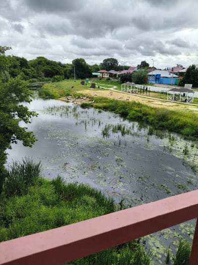 A slightly overcast day in Petrovsk, Russia, shows a view from a reddish-brown railing overlooking a slow-moving body of water filled with aquatic plants and reeds. The riverbank opposite is a sandy area with several wooden lounge chairs, some green awnings, and what appear to be simple workout structures. Beyond the riverbank, a cluster of houses forms a small village, with buildings in various colors including blue, yellow, and white, some with pink roofs. Dense green trees line the horizon, with a few taller trees scattered among the houses. The sky is filled with dark, heavy clouds, suggesting a possibility of rain. No people are visible in the scene.