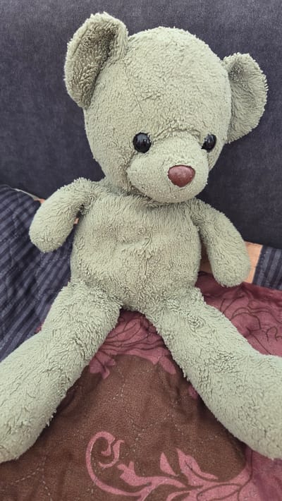 A green teddy bear lies on bedding. Part of the bedding is a dark gray solid color, and the other part is patterned in brown and pink. The bear has a brown nose and black eyes. There is no indication this image was taken in Sannikovo, Russia.