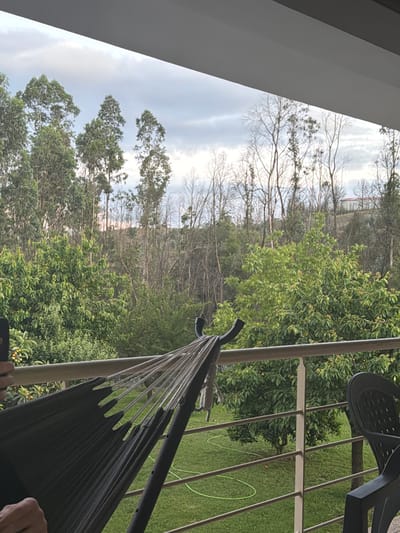The image shows a view from what appears to be a balcony or elevated platform. The location is suggested to be Celorico de Basto, Portugal, although no explicit landmarks confirm this. 

The foreground is dominated by the structure of a hammock suspended from a frame, with a dark fabric hammock visible. A black chair is situated on the right, partially within the frame. The backdrop features a dense forest of trees. In the mid-ground are green trees in full foliage. Further back, there are bare trees suggesting a change of seasons or a different type of tree. The sky is overcast with grey clouds.