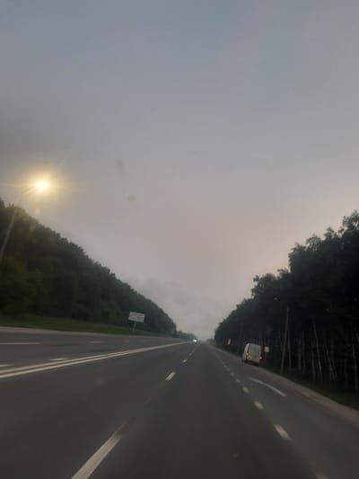 The image depicts a grey, overcast sky over a highway in Berd', Russia. A bright street lamp illuminates the left side of the road, where a dense line of trees slopes upwards. The highway itself is asphalt with white lane markings. In the distance, a white van is visible on the right side of the road, near a line of trees that flank the highway. The overall atmosphere is dim and somewhat misty, suggesting early morning or late evening light.