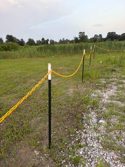 The image depicts an outdoor scene in Cardwell, United States. A yellow chain is strung between white-capped fence posts that are planted in the ground. The posts are dark metal and are spaced at intervals, creating a boundary across a grassy field. The field is sparsely populated with small stones and patches of dirt. In the background, a dense line of tall green vegetation stretches across the horizon, with scattered trees beyond. The sky above is overcast with a light gray hue.