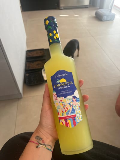A person holds a bottle of yellow limoncello labeled "LIMONCETTA DI SORRENTO". The bottle has a decorative cap with a lemon and leaf pattern. The person's wrist, visible in the lower left, has a tattoo and a colorful string bracelet. In the background, a small black dog is walking on a tiled floor. Partially visible on the left is a white cabinet or appliance. There are three black trays containing soil in the middle ground, suggesting indoor plants. The environment appears to be a domestic interior, possibly a kitchen or living area, with ample natural light illuminating the tiled floor. The specific location within Ceraso, Italy cannot be determined from the visual information.