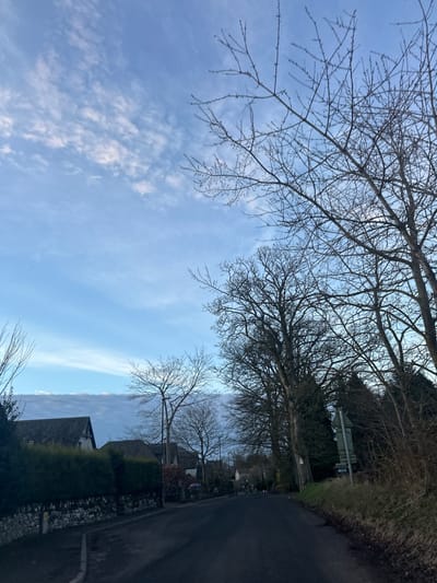 The image depicts a rural road scene in Fowlis Easter, United Kingdom, characterized by winter or early spring conditions. The sky, occupying the upper two-thirds, is clear light blue with scattered white, wispy clouds. Numerous deciduous trees with bare branches, indicative of a dormant season, frame the scene, primarily on the right side and in the mid-ground on the left. Evergreen foliage is visible behind the bare trees on the right and as a maintained hedgerow on the left.
A dark grey tarmac road, devoid of markings, recedes into the distance, gently curving rightward. A low, irregular grey stone wall topped with a dense, dark green hedgerow borders the left side of the road in the foreground. Behind this, several houses are visible; the closest on the left features a dark gabled roof and a light-colored facade with dark timber detailing. Other residential structures are partially obscured further down the road.
On the right side of the road, a strip of unkempt brown and green vegetation borders the road, leading up to a cluster of tall, bare trees. A rectangular green sign, its text unreadable, is partially visible among the trees on the right. No individuals, animals, or specific actions are depicted, presenting a tranquil, unpopulated view of a village thoroughfare.