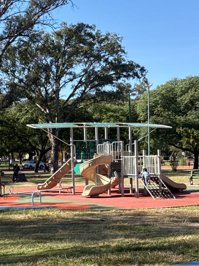 The image shows a playground with a large climbing structure under a large tree in a park. The playground surface is red and green. There is a child visible on the climbing structure. There is grass in the foreground and background. Other people, cars, and picnic tables are visible in the background. The location is a city park. The specific location within Salta, Argentina is not discernible from the image.