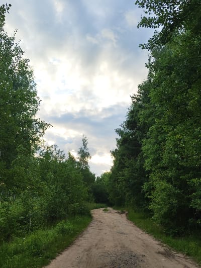 The image captures a dirt road winding through a dense forest, likely in Цибино, Russia. Lush green trees line both sides of the path, their leaves forming a canopy that partially obscures the sky. The sky above is a mix of white and gray clouds, with patches of sunlight breaking through, suggesting it is late afternoon or early evening on a partly cloudy day. The road itself appears well-worn, with a gravelly texture in some areas. The overall scene evokes a sense of peaceful solitude and the natural beauty of a wooded landscape. There is no visible text in the image.