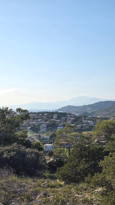 An elevated, panoramic view depicts a coastal settlement within the Salamina Municipal Unit, Greece. The foreground consists of dry, rocky terrain interspersed with low green shrubs and sparse vegetation. The midground reveals a residential area composed of numerous white or light-colored buildings, many with red-tiled roofs, densely integrated with green trees and foliage. Behind the settlement, a calm, blue body of water extends towards a distant coastline. The background features successive layers of hazy blue hills and mountains under a clear, light blue sky with minimal cloud cover. No people, specific actions, or interactions are visible in the static scene, which is illuminated by bright daylight.