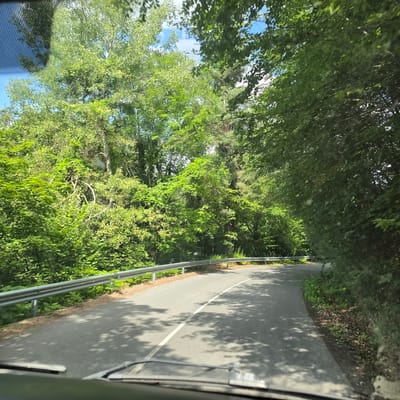 A paved road curves to the right, flanked by a metal guardrail on the left and dense green foliage on the right. Sunlight dapples the road surface, creating a pattern of shadows from overhead trees. The scene appears to be a scenic route in a wooded area, possibly within or near Ravnogor, Bulgaria, judging by the provided context. The image is taken from a vehicle, with the windshield wipers visible in the foreground. The trees are lush and full, suggesting a summer or late spring season. No people are visible in the image.