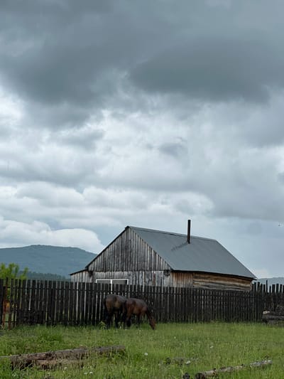 In Abzakovo, Russia, a rustic wooden barn with a corrugated metal roof stands behind a weathered wooden fence. Two horses graze in the grassy area in front of the fence. The sky is overcast with heavy, dark clouds, suggesting approaching rain, which appears to be falling in the image. In the background, rolling hills are visible under the gloomy sky. The scene evokes a sense of rural tranquility amidst a dramatic weather event.