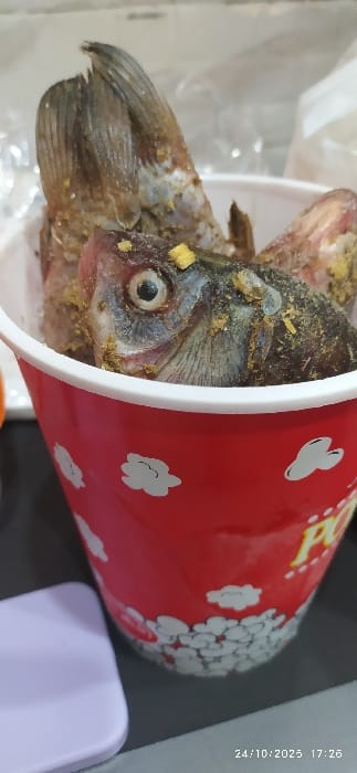 A red, cylindrical paper or plastic bucket, consistent with a popcorn container and bearing partial yellow "POPC" lettering, is depicted filled with multiple whole, raw fish. The bucket features white cloud-like or floral patterns on its upper half and a denser pattern of smaller white elements near its base. The fish, dark-scaled and visibly intact with heads and tails, are heavily coated in a coarse, yellowish granular substance, likely spices. One fish head is prominently featured in the foreground, displaying a round, open eye. Several fish tails are visible protruding upwards from the bucket. The bucket rests on a dark, flat surface. A blurry, light purple object with rounded edges is partially visible on the left foreground, and the background consists of indistinct, light-toned elements. A timestamp "24/10/2023 17:26" is present in the lower right corner. The specific location within Mu'adammiyat ash-Sham, Syria, cannot be determined from the visual information provided.